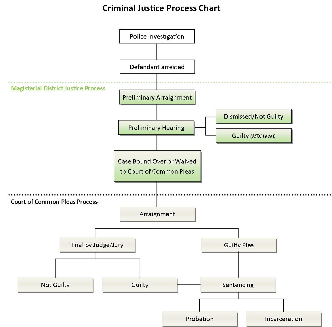criminal case flow chart